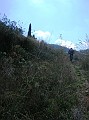 DSCN6855