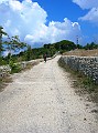 DSCN6860