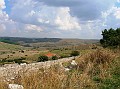 DSCN6873