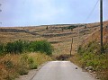 DSCN6875