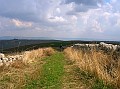DSCN6880