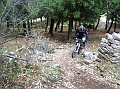 DSCN6895