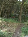 DSCN7296