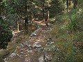 DSCN7310