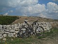 DSCN7316