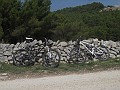 DSCN7318