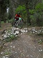 DSCN7341