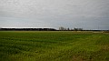 DSCN8595