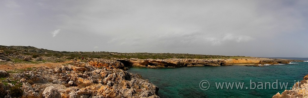 DSCN7936.JPG -                                