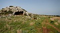 DSCN7930