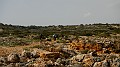 DSCN7937