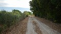 DSCN4886