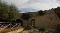 DSCN4894