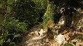 DSCN4912