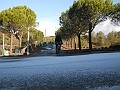 DSCN9063