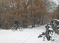 DSCN9078