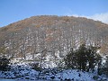 DSCN9083