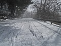 DSCN9090