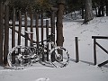 DSCN9095