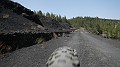 DSCN3593