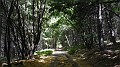 DSCN3607