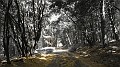 DSCN3609