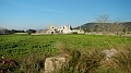 DSCN2441