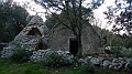 DSCN2471