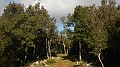 DSCN2472