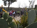DSCN9002