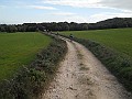 DSCN9023