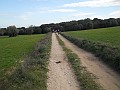 DSCN9024