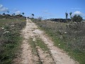 DSCN9038