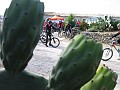 IMG_6337