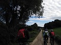 IMG_6341