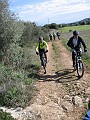 IMG_6346