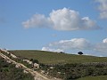 IMG_6358