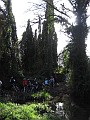 IMG_6378