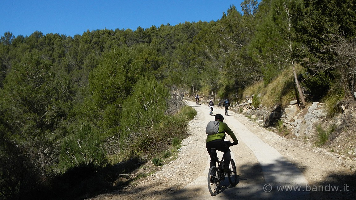 DSCN1139.JPG -                                