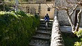 DSCN1116