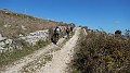 DSCN1161
