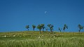 DSCN7166