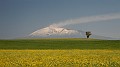 DSCN7169