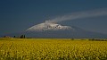 DSCN7176