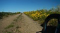 DSCN7099