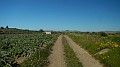 DSCN7100