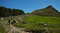 DSCN7120