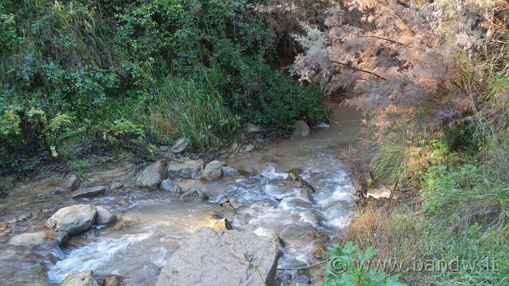 DSCN9799.JPG -                                