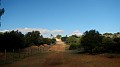 DSCN9284