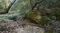 DSCN9304